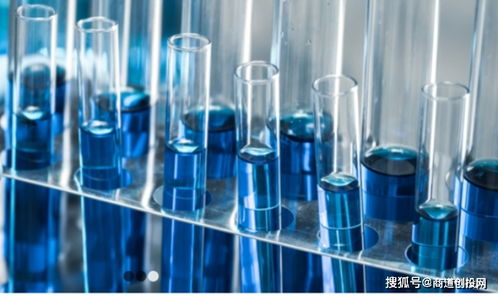 生物制品CDMO服務商鼎康生物完成超1.9億美元A輪融資，加速產業布局