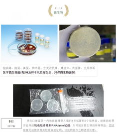 攜帶血液與生物制品進(jìn)出境 海關(guān)監(jiān)管的挑戰(zhàn)與應(yīng)對(duì)